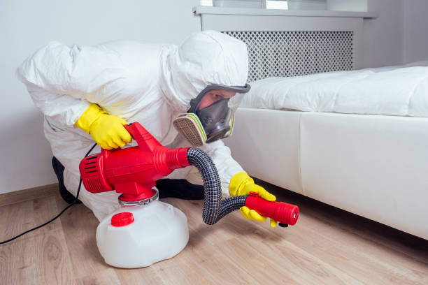 Emergency Pest Control Services in East Palatka, FL